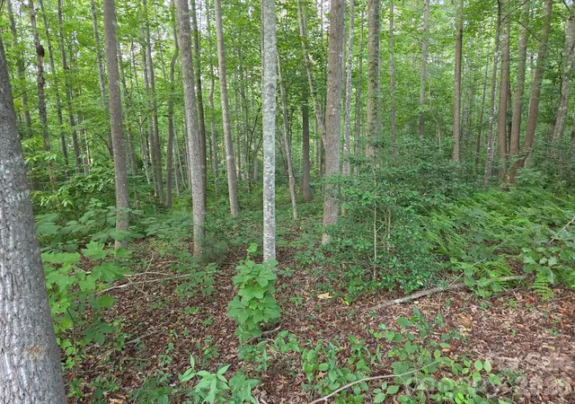 5th image of Tbd W Meadow Pkwy, Moravian Falls, NC 28654 | MLS# 4396384