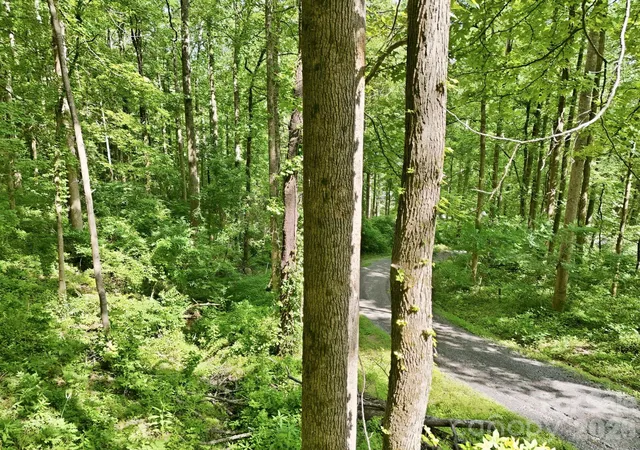 Photo 4 of Land for sale at 0000 Rocky Branch Trl, Marion, NC 28752 | MLS# 4396392 | Listing updated on 2026-07-08