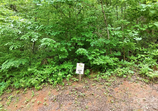 Photo 4 of Land for sale at 9999 Blue Ridge Dr S, Marion, NC 28765 | MLS# 4396410 | Listing updated on 2026-07-08