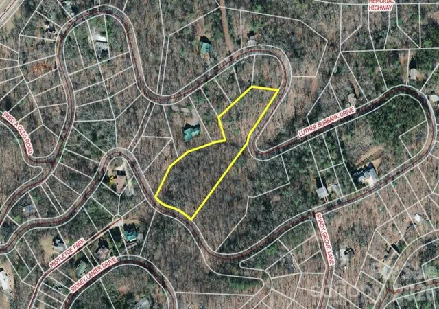 1st image of 9999 Luther Burbank Dr, Lake Lure, NC 28746 | MLS# 4396435