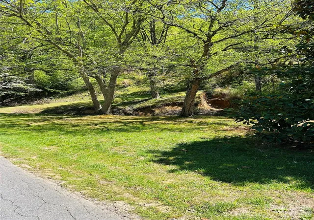Photo 3 of Land for sale at 128 W Orchard St, Old Fort, NC 28762 | MLS# 4396444 | Listing updated on 2026-10-06