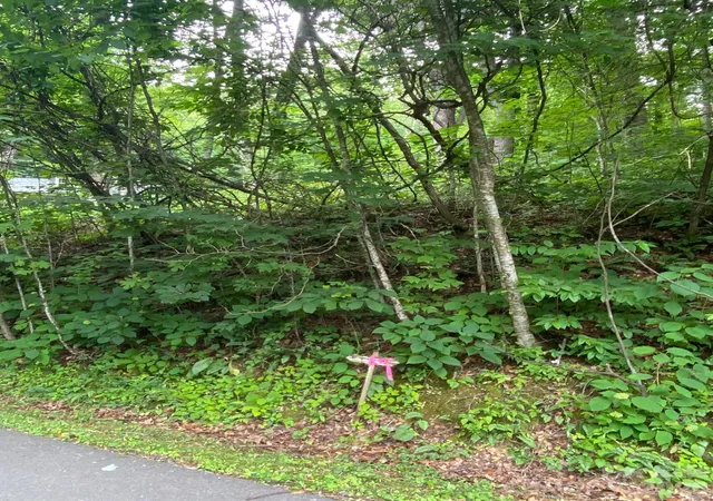 2nd image of 00 Aaron Wy #21, Waynesville, NC 28786 | MLS# 4396586