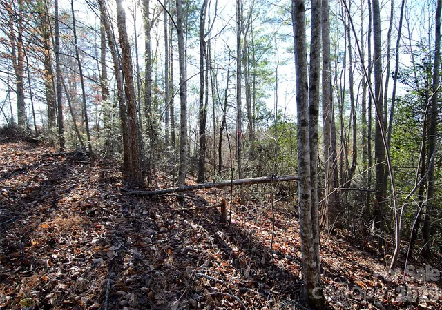 Photo 1 of Land for sale at 0 Wildwood Mountain Ln #8, Marion, NC 28752 | MLS# 4396634 | Listing updated on 2026-06-30
