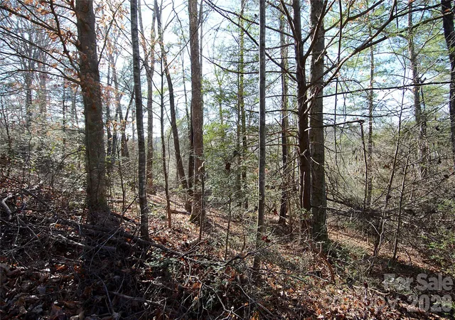Photo 3 of Land for sale at 0 Wildwood Mountain Ln #8, Marion, NC 28752 | MLS# 4396634 | Listing updated on 2026-06-30