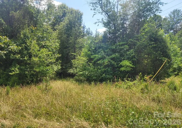 Photo 3 of Land for sale at 0000 Hickory Hwy, Statesville, NC 28677 | MLS# 4396695 | Listing updated on 2026-08-21