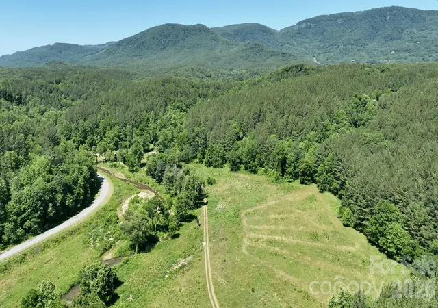 1st image of 1194 Palmer Rd, Mill Spring, NC 28756 | MLS# 4396705