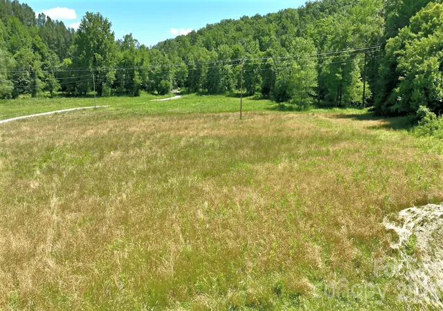 5th image of 1194 Palmer Rd, Mill Spring, NC 28756 | MLS# 4396705
