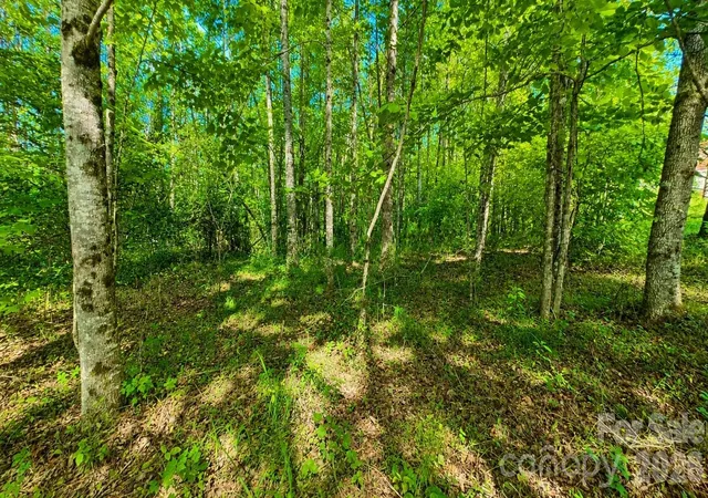 3rd image of Cb17 Emerald Ct #CB17, Lenoir, NC 28634 | MLS# 4396788