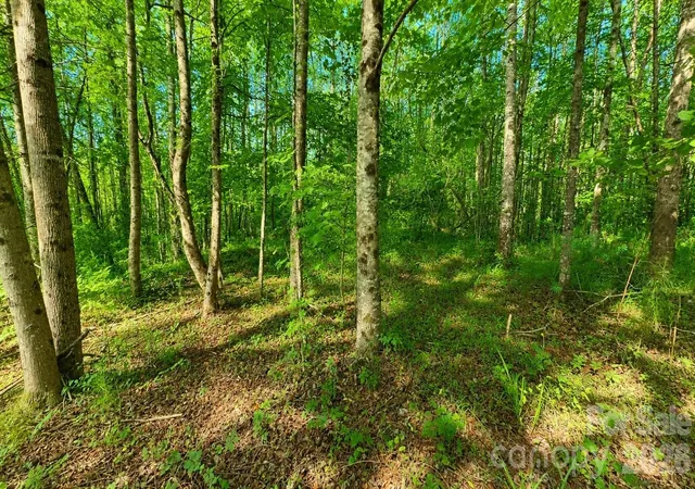 4th image of Cb17 Emerald Ct #CB17, Lenoir, NC 28634 | MLS# 4396788