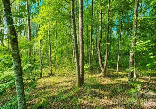 5th image of Cb17 Emerald Ct #CB17, Lenoir, NC 28634 | MLS# 4396788