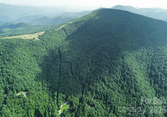 image of 64 Clay View Dr, Fairview, NC 28730 | MLS# 4396816