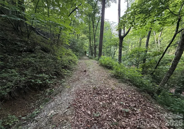 image of 64 Clay View Dr, Fairview, NC 28730 | MLS# 4396816