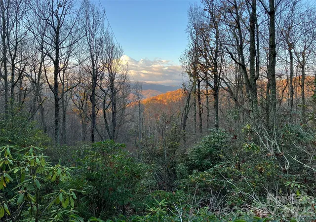 image of 64 Clay View Dr, Fairview, NC 28730 | MLS# 4396816