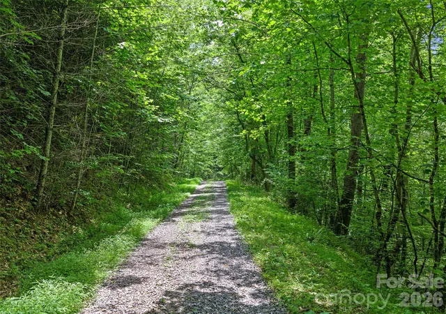 Photo 2 of Land for sale at 000 Hamlet Dr #1, Burnsville, NC 28714 | MLS# 4396828 | Listing updated on 2026-07-29