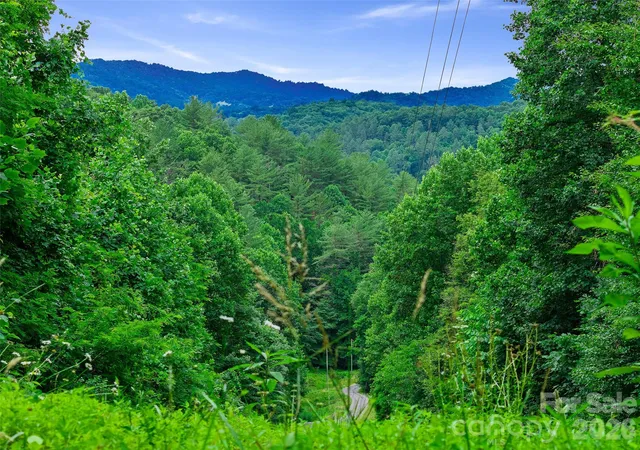 Photo 4 of Land for sale at 000 Hamlet Dr #1, Burnsville, NC 28714 | MLS# 4396828 | Listing updated on 2026-07-29