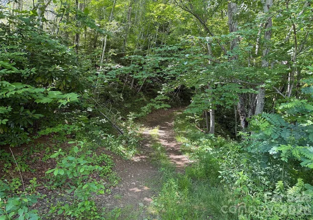 2nd image of 00 Rising Sun Rd #338, Waynesville, NC 28786 | MLS# 4396913
