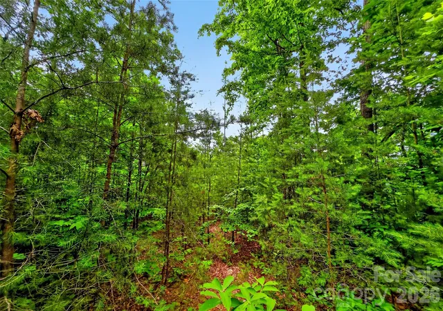 Photo 2 of Land for sale at 213 Mitchell View N #213MV, Old Fort, NC 28762 | MLS# 4396921 | Listing updated on 2026-06-24