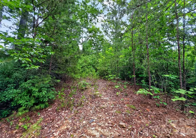 Photo 3 of Land for sale at 213 Mitchell View N #213MV, Old Fort, NC 28762 | MLS# 4396921 | Listing updated on 2026-06-24