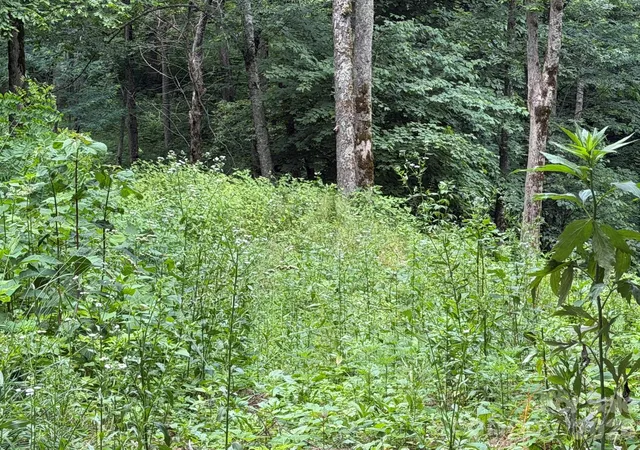 Photo 5 of Land for sale at Lot 5 Gadohi Trl #5, Maggie Valley, NC 28751 | MLS# 4396952 | Listing updated on 2026-06-27