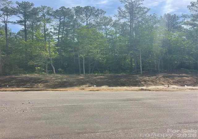 1st image of 729 Everwood Dr, Mc Connells, SC 29726 | MLS# 4397120