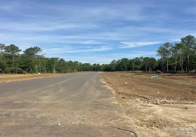 4th image of 729 Everwood Dr, Mc Connells, SC 29726 | MLS# 4397120