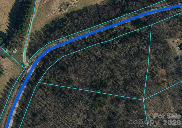 Homes for sale in Leicester, NC | 0 Clarks Branch Rd, Leicester, NC 28748 | MLS# 4397135