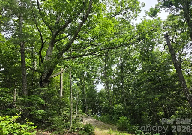 Photo 2 of Land for sale at 9999 Fairview Forest Dr, Fairview, NC 28730 | MLS# 4397153 | Listing updated on 2026-07-16