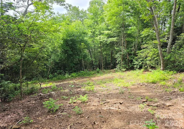 Photo 1 of Land for sale at 9999 Fairview Forest Dr, Fairview, NC 28730 | MLS# 4397153 | Listing updated on 2026-07-16