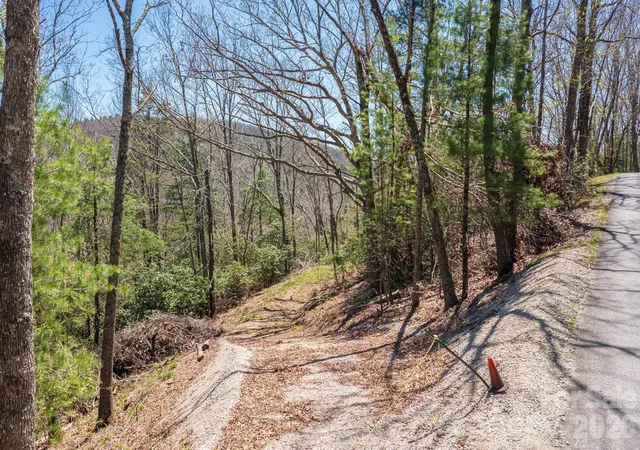 Photo 3 of Land for sale at 9999 Fairview Forest Dr, Fairview, NC 28730 | MLS# 4397153 | Listing updated on 2026-07-16