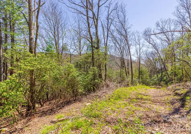 Photo 4 of Land for sale at 9999 Fairview Forest Dr, Fairview, NC 28730 | MLS# 4397153 | Listing updated on 2026-07-16