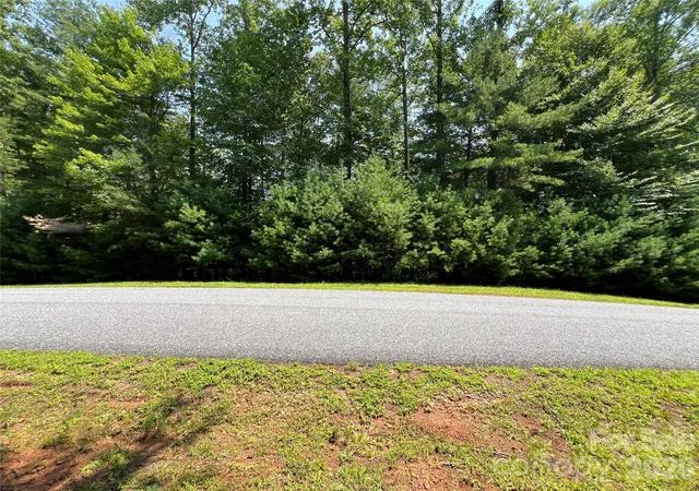 4th image of 217 Larkhaven Dr #53-11, Nebo, NC 28761 | MLS# 4397159
