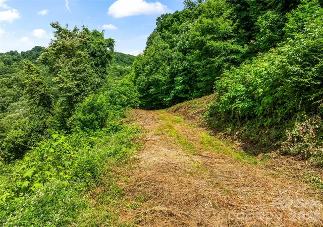 25th image of Lot#36 Fern Brook Dr, Waynesville, NC 28786 | MLS# 4397177