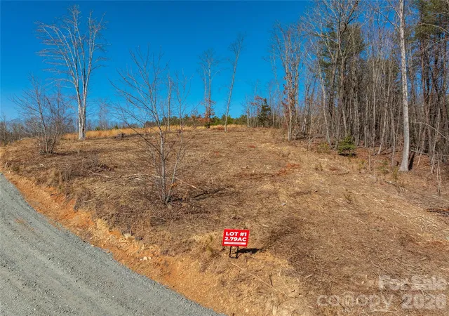 4th image of Lot #1 Price Summit Wy, Mill Spring, NC 28756 | MLS# 4397262