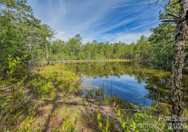 Homes for sale in Patrick, SC | 0 Hwy 1 Hwy, Patrick, SC 29584 | MLS# 4397263