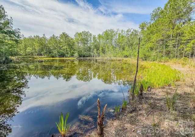 Homes for sale in Patrick, SC | 0 Hwy 1 Hwy, Patrick, SC 29584 | MLS# 4397263