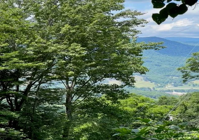 3rd image of 00 Utah Mountain Rd, Waynesville, NC 28785 | MLS# 4397305