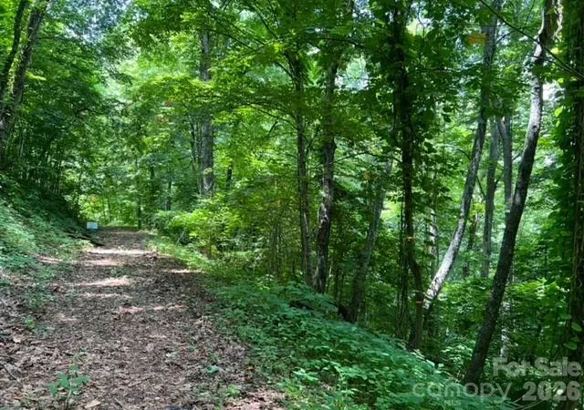 4th image of 00 Utah Mountain Rd, Waynesville, NC 28785 | MLS# 4397305