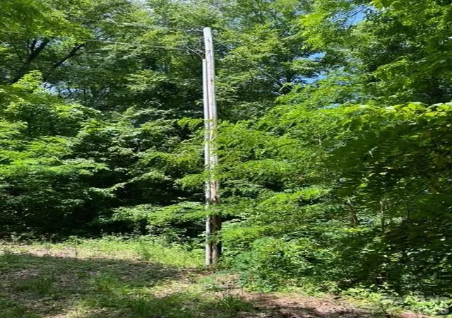 5th image of 00 Utah Mountain Rd, Waynesville, NC 28785 | MLS# 4397305
