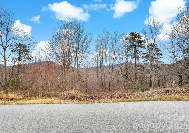 Homes for sale in Black Mountain, NC | 230 Catawba Falls Pkwy, Black Mountain, NC 28711 | MLS# 4397495