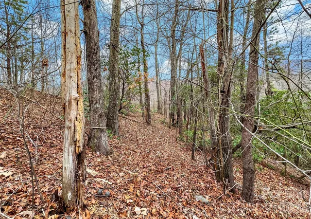 Homes for sale in Black Mountain, NC | 230 Catawba Falls Pkwy, Black Mountain, NC 28711 | MLS# 4397495