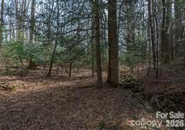 5th image of Tbd Ball Gap Rd, Arden, NC 28704 | MLS# 4397499
