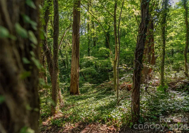 Photo 16 of Land for sale at 103 Aurora Dr #2, Asheville, NC 28805 | MLS# 4397504 | Listing updated on 2026-07-30