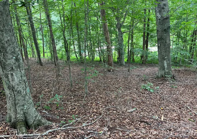 1st image of V/l Moore Branch Dr, Nebo, NC 28761 | MLS# 4397521