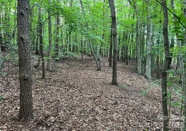 Photo 1 of Land for sale at V/l Moore Branch Dr, Nebo, NC 28761 | MLS# 4397521 | Listing updated on 2026-08-28