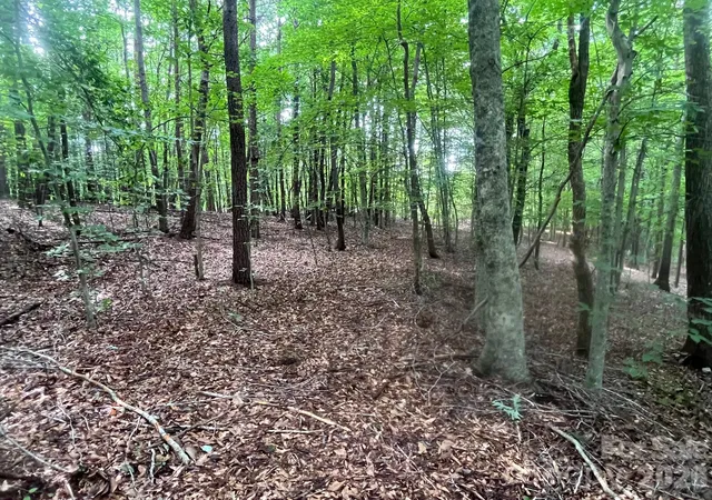 Photo 3 of Land for sale at V/l Moore Branch Dr, Nebo, NC 28761 | MLS# 4397521 | Listing updated on 2026-08-28