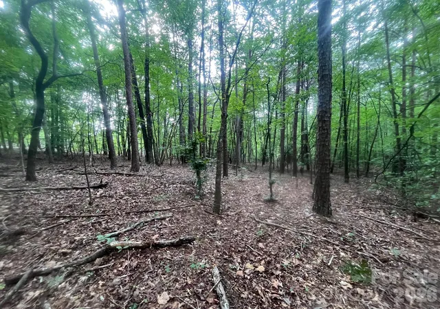 Photo 4 of Land for sale at V/l Moore Branch Dr, Nebo, NC 28761 | MLS# 4397521 | Listing updated on 2026-08-28