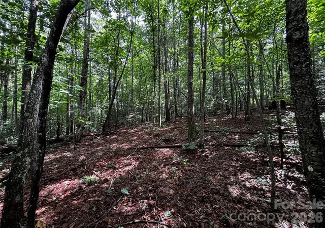 5th image of 8485 Huffman Ave, Connelly Springs, NC 28612 | MLS# 4397531