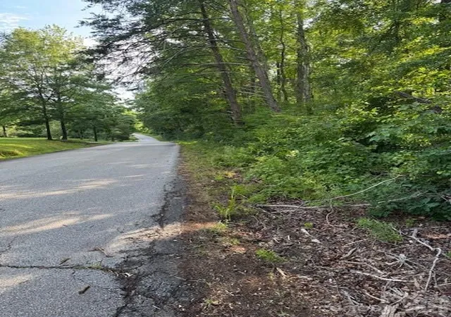 Photo 1 of Land for sale at 0 Lockhart Dr, Landrum, SC 29356 | MLS# 4397532 | Listing updated on 2026-06-26