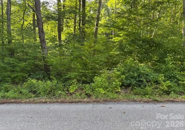 Photo 2 of Land for sale at 0 Lockhart Dr, Landrum, SC 29356 | MLS# 4397532 | Listing updated on 2026-06-26