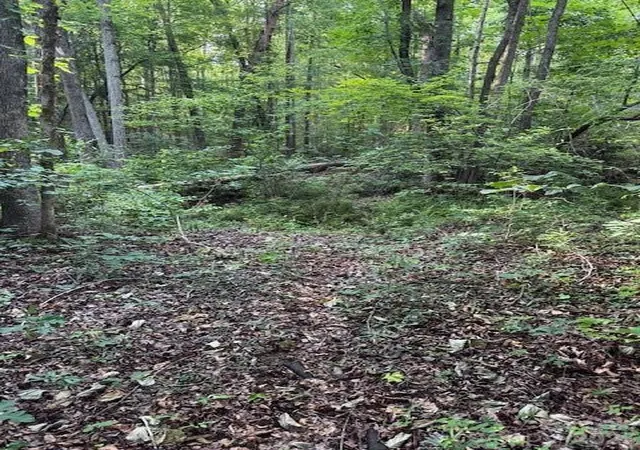 Photo 3 of Land for sale at 0 Lockhart Dr, Landrum, SC 29356 | MLS# 4397532 | Listing updated on 2026-06-26